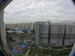 compassvale-link photo thumbnail #8
